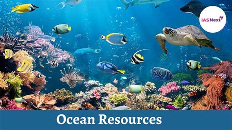 what shared resources are similar to ocean fish